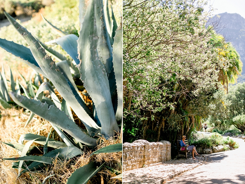 Anja Linner Südafrika Kapstadt Camps Bay Capetown Afrika