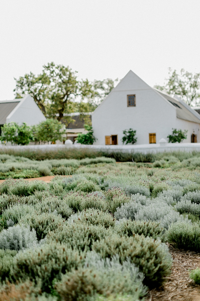 Anja Linner Kommetjie Südafrika Kapstadt Stellenbosch Babylonstoren Capetown Afrika