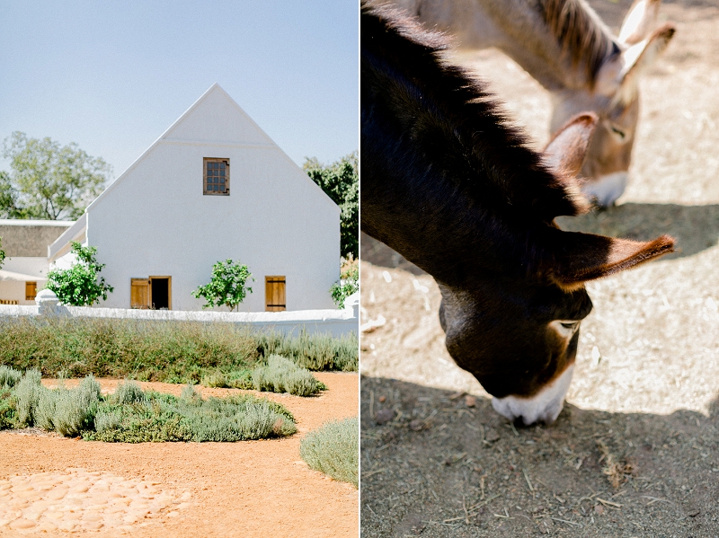 Anja Linner Südafrika Kapstadt Stellenbosch Babylonstoren Capetown Afrika