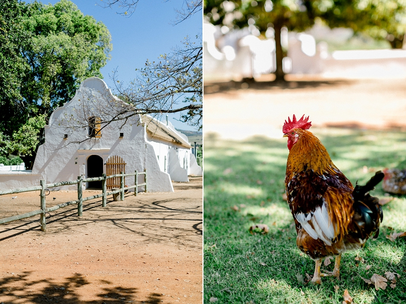 Anja Linner Südafrika Kapstadt Stellenbosch Babylonstoren Capetown Afrika