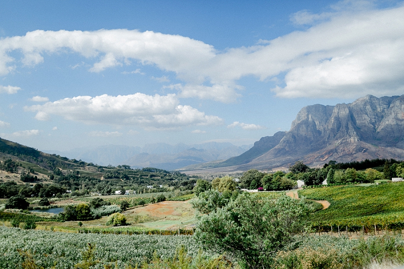 Anja Linner Südafrika Kapstadt Stellenbosch Babylonstoren Capetown Afrika