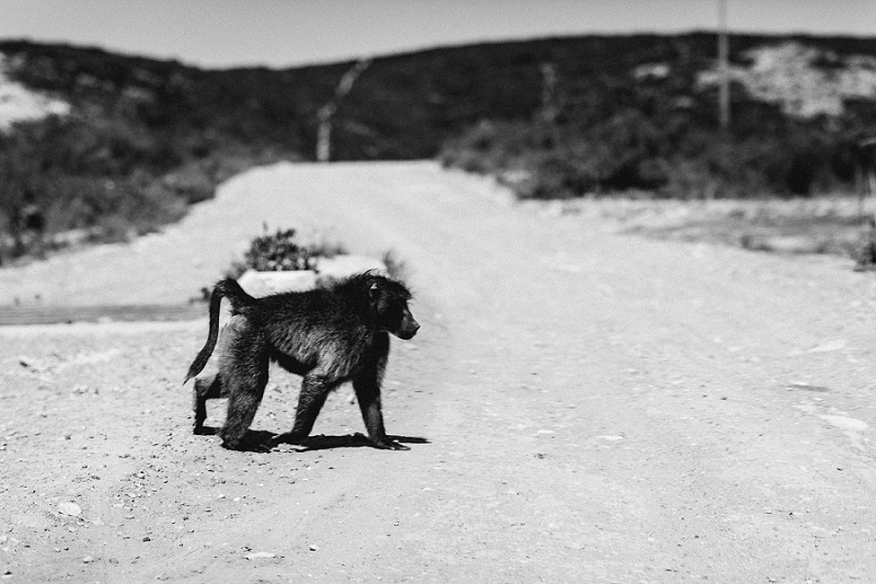 Anja Linner Südafrika Kapstadt Roadtrip Capetown Afrika