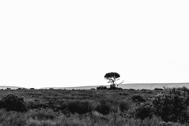 Anja Linner Südafrika Kapstadt Roadtrip Dehoop Nature Reserve Capetown Afrika