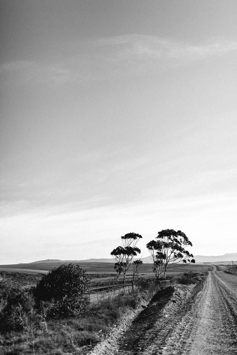 Anja Linner Südafrika Kapstadt Roadtrip Dehoop Nature Reserve Capetown Afrika