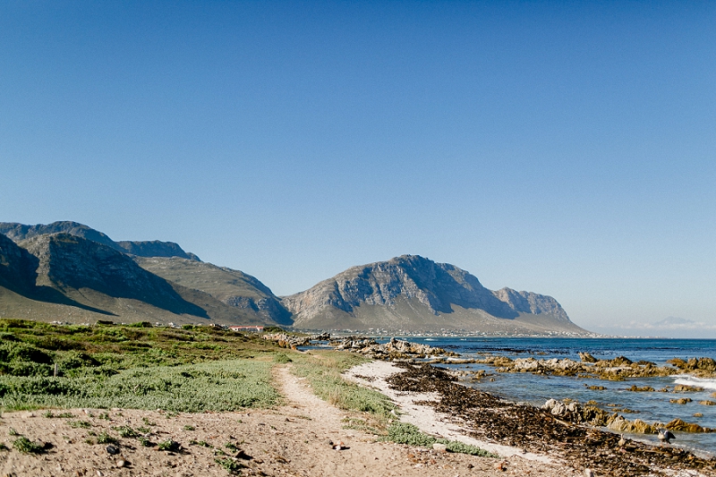 Anja Linner Südafrika Kapstadt Roadtrip Plettenberg Robbberg Capetown Afrika