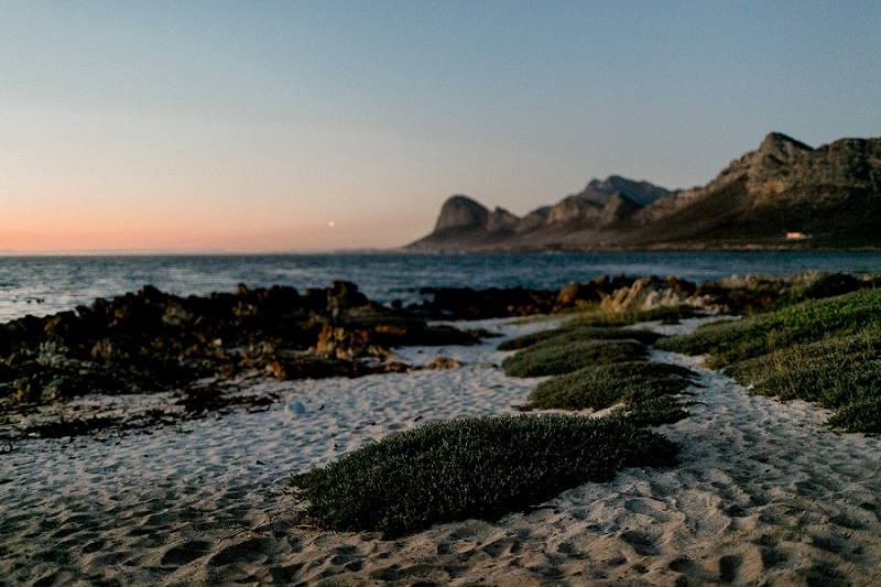 Anja Linner Südafrika Kapstadt Roadtrip Bettys Bay Capetown Afrika