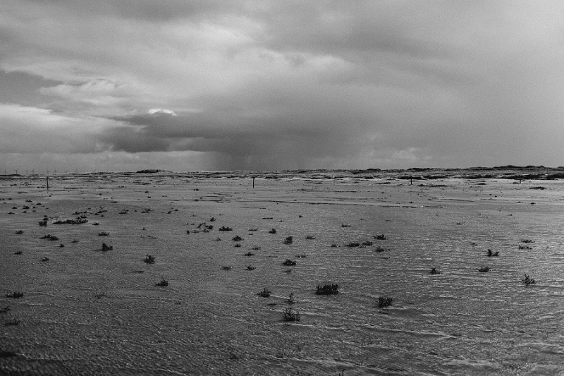 Anja Linner Sankt Peter Ording Nordsee Beach Motel Bulliitrip Strandhochzeit Heiraten an der Nordsee Strandhochzeit