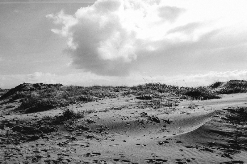 Anja Linner Sankt Peter Ording Nordsee Beach Motel Bulliitrip Strandhochzeit Heiraten an der Nordsee Strandhochzeit